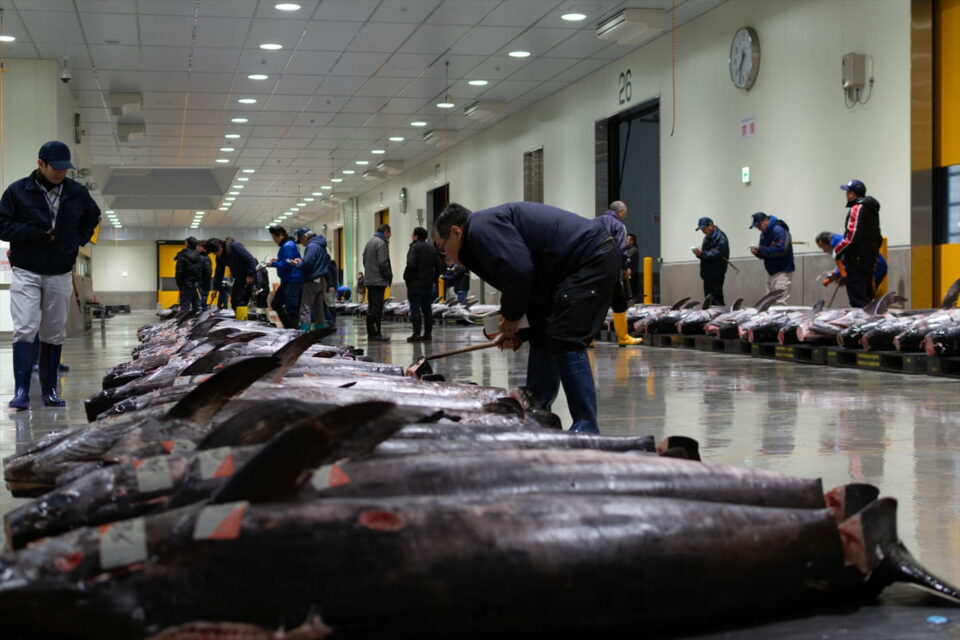 Uo Ichiba(Fish Market)