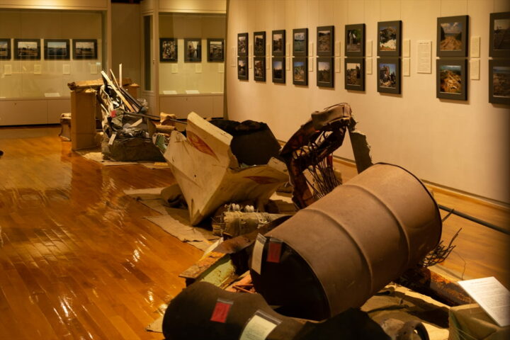 Rias Ark Museum of Art