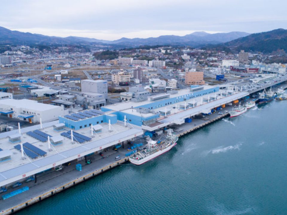 Local Wholesale Market Kesennuma Fish Market