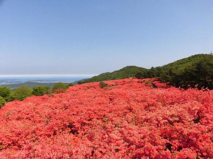 Gunung Tokusenjo