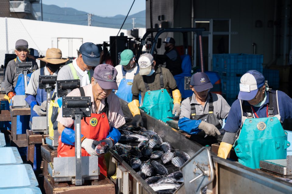 수산시장 견학