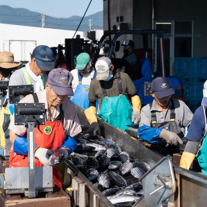 수산시장 견학