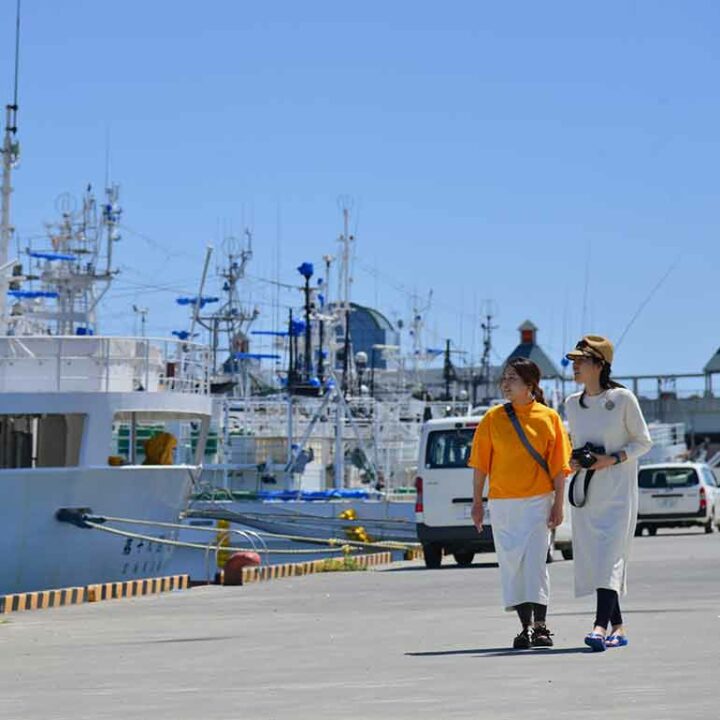 ทิวทัศน์ของเรือตกปลา (The port of Kesennuma)